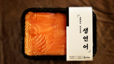 싱싱한 생연어 400g, 이 가격 실화?! 득템 후기와 구매 꿀팁 대방출!