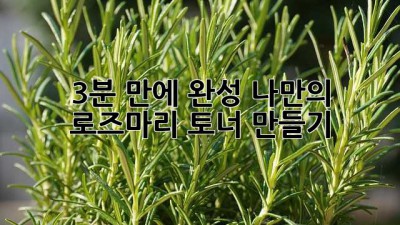 3분 만에 완성! 나만의 로즈마리 토너 만들기 ✨